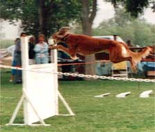 hi jump